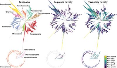 Application of ecosystem-specific reference databases for increased taxonomic resolution in soil microbial profiling